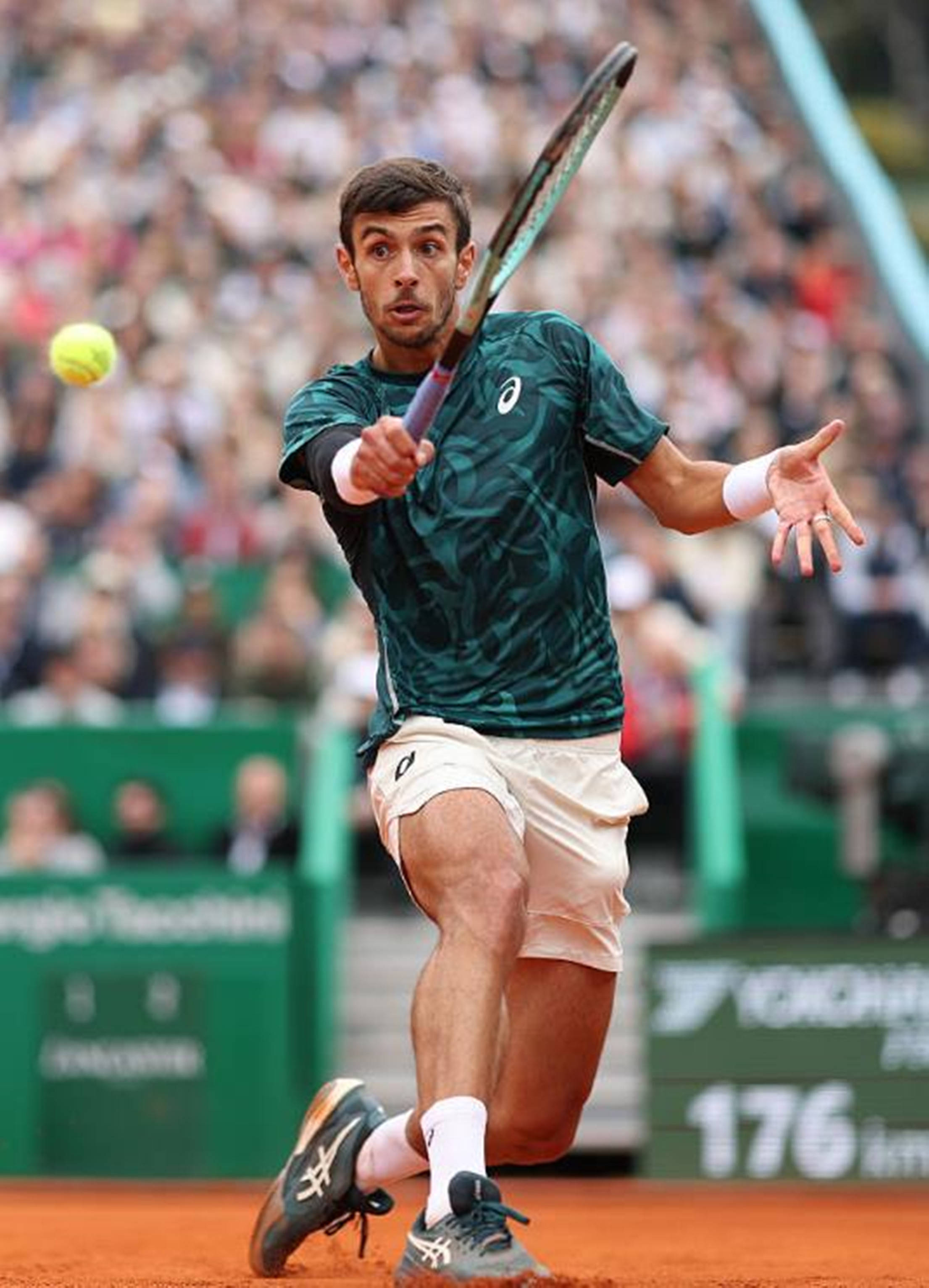 两位新秀则 两位新秀则